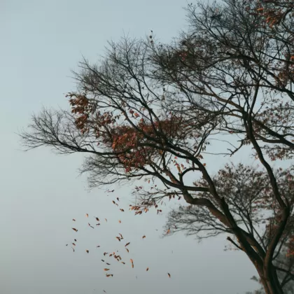 입동(立冬) 절기 풍경